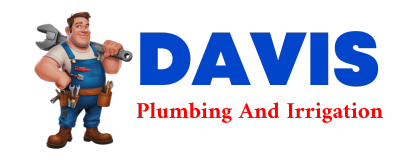 Trusted plumber in BINFORD